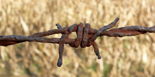 Jedwabne i Wołyń